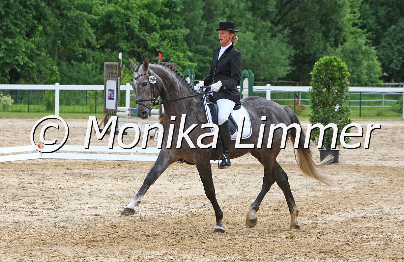 006M3983_Dressur L.JPG